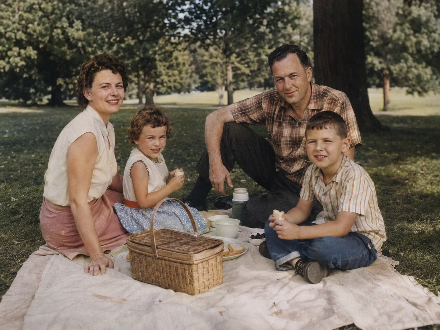The same 1950s family picnic with restrained plausible color